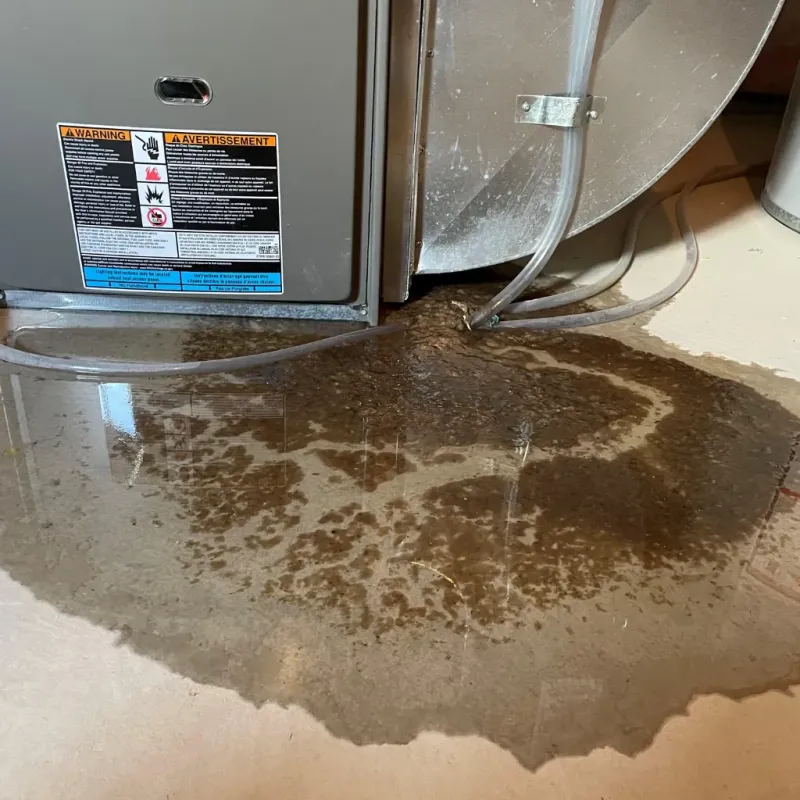Appliance Leak Cleanup in Monroe County, AR
