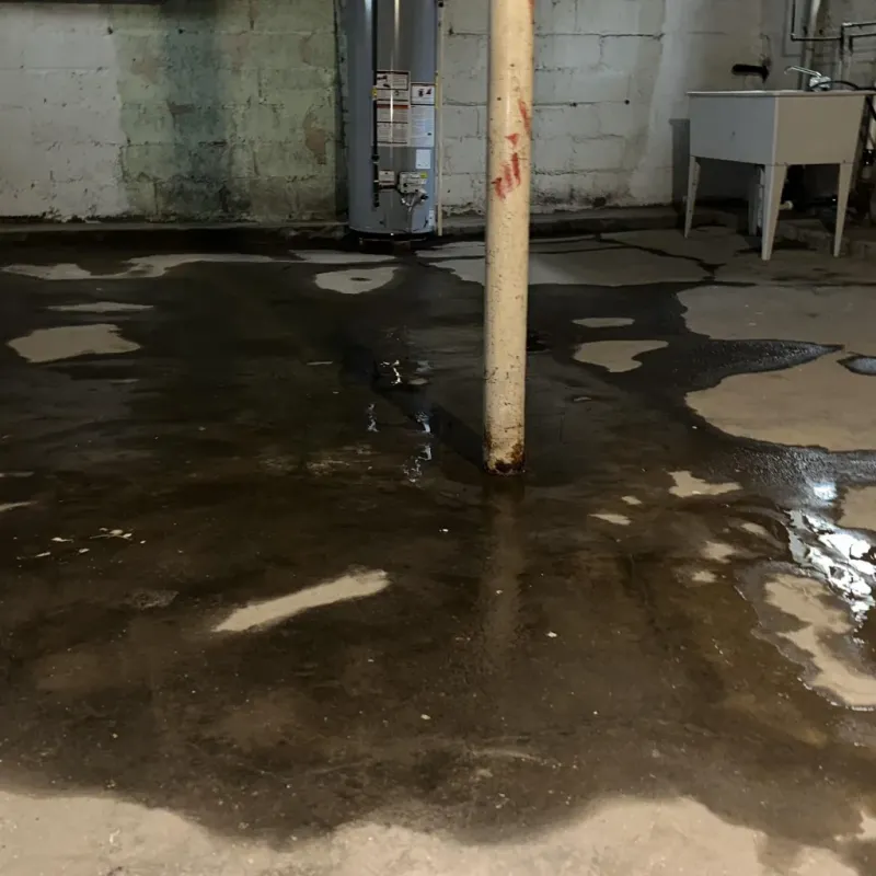 Emergency Water Extraction And Removal in Monroe County, AR